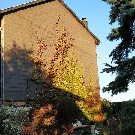 Ursula'S Ferienwohnung Marpingen Esterno foto