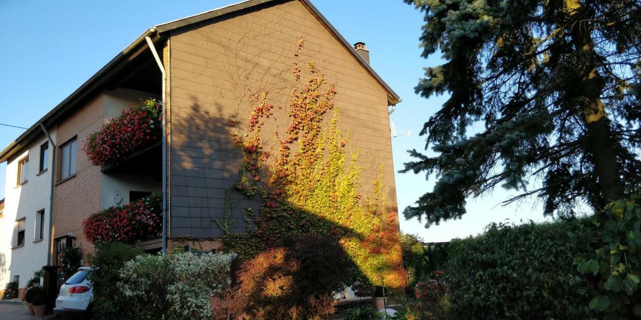 Ursula'S Ferienwohnung Marpingen Esterno foto